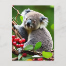 Buscar cute koala postales Oso