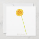 Buscar gerberas tarjetas General y unisex
