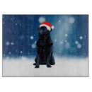 Buscar cerdo tablas cortar Vacaciones