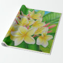 Buscar hawaiano papel de regalo Plumeria