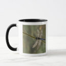 Buscar ramitas tazas botellas Naturaleza