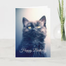 Buscar gatitos negros tarjetas Para todos