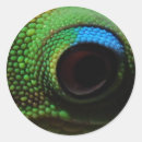 Buscar eyeball pegatinas Ojo