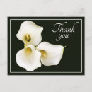 Buscar lirio de cala tarjetas Para ella