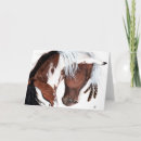 Buscar caballo pintado tarjetas Pinto