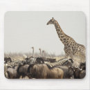 Buscar namibia alfombrillas de raton Animal