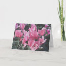 Buscar amo insectos tarjetas Abeja