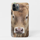Buscar vacas lindas iphone fundas Ternera