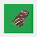 Buscar voladores imanes Primavera