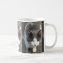 Buscar gato gris y blanco tazas Animales