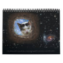 Buscar surrealista calendarios Animales