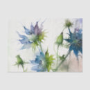 Buscar nigella Floral