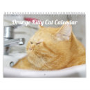 Buscar gatitos calendarios Adorable