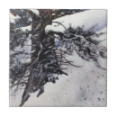 Buscar árboles nevados azulejos Paisaje