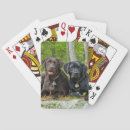 Buscar chocolate barajas de cartas Cachorro