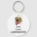 Buscar labradors accesorios Lindo