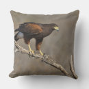 Buscar rapaces cojines Fauna