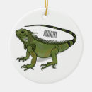 Buscar iguanas adornos Reptil