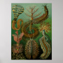 Buscar der posters Ilustracion