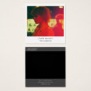 Buscar vales tarjetas de visita Divertido