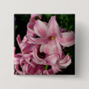 Buscar jacinto chapas Floral