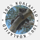 Buscar australia manualidades Koala