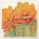 Buscar cactus posavasos Floral