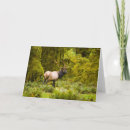 Buscar roosevelt tarjetas Alaska