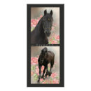 Buscar frisios postales Caballo