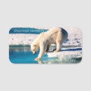 Buscar polar oficina escuela General y unisex