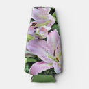 Buscar cabaña almacenaje alimentos Jardín de cabaña