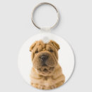 Buscar sharpei llaveros Amor