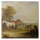 Buscar semental azulejos Caballos