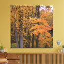 Buscar tulipanes amarillos lienzos Fotografía