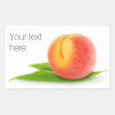Buscar sano rectangulares pegatinas Fresco