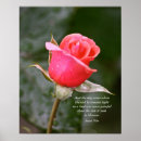 Buscar nin posters Para todos