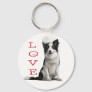 Buscar border collie llaveros Perros