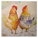 Buscar pollos azulejos Gallina