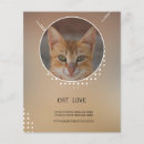 Buscar gato flyers 9 º gata