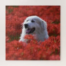 Buscar flores grandes puzzles Rojo