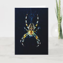 Buscar arácnidos tarjetas Insecto