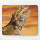 Buscar roca alfombrillas de raton Animales