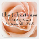 Buscar hojas anaranjadas pegatinas El casarse