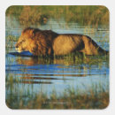 Buscar botswana pegatinas Horizontal