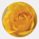 Buscar pétalos amarillos pegatinas Flor