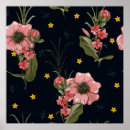 Buscar margarita africana posters Africano
