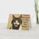 Buscar faltas tarjetas Gatos