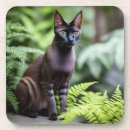 Buscar gato negro posavasos 9 º gata