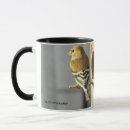 Buscar canaria tazas General y unisex