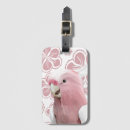 Buscar galah Loros